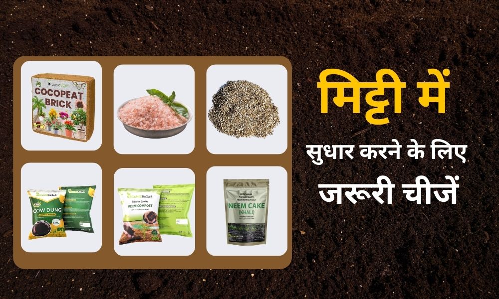 मिट्टी में सुधार करने के लिए मिलाएं यह चीजें - Best Soil Amendments For Garden In Hindi